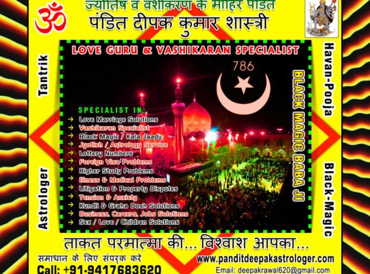 Pandit Deepak Kumar Astrologer