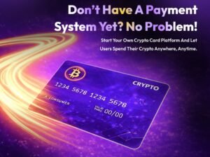 Expert Crypto Card Development Company – Hivelance