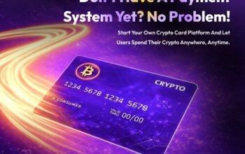 Expert Crypto Card Development Company – Hivelance