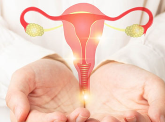 Gynecologist in Eluru | Best Gynecologist in Eluru
