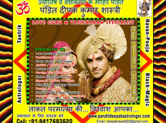 Pandit Deepak Kumar Astrologer