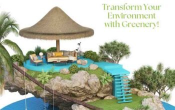Garden Maintenance Services in Chennai
