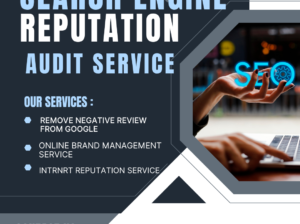 Search Engine Reputation Audit Services in Adelaide