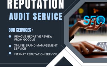 Search Engine Reputation Audit Services in Adelaide