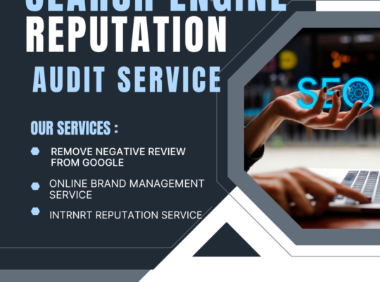 Search Engine Reputation Audit Services in Adelaide