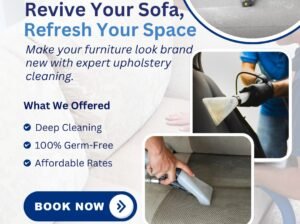 Deluxe Cleaning Group: Upholstery Cleaning Brisbane with Carpet Steam Cleaning