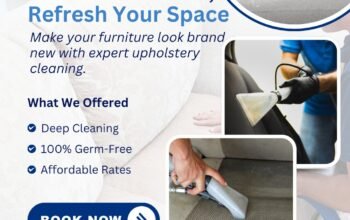Deluxe Cleaning Group: Upholstery Cleaning Brisbane with Carpet Steam Cleaning