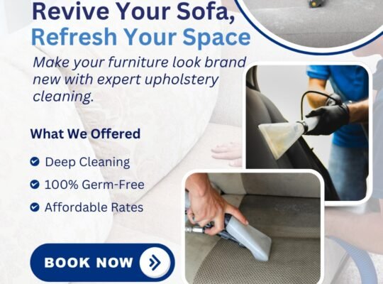 Deluxe Cleaning Group: Upholstery Cleaning Brisbane with Carpet Steam Cleaning