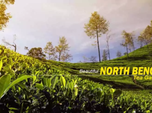 North Bengal Tour Packages from NJP & Kolkata: 2026 Best Itineraries || NatureWings Holidays Limited