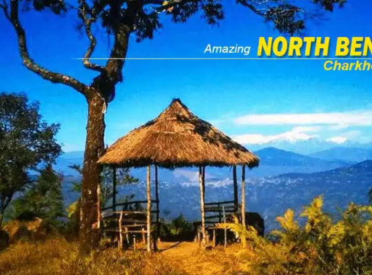 North Bengal Tour Packages from NJP & Kolkata: 2026 Best Itineraries || NatureWings Holidays Limited