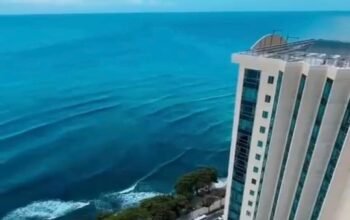 Viva Como Un Rey, Deleitandose Con Su Vista Al Mar, Desde El Piso 26!!!