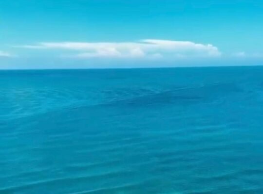 Viva Como Un Rey, Deleitandose Con Su Vista Al Mar, Desde El Piso 26!!!