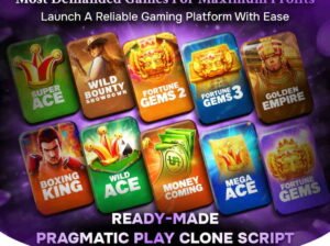 Purchase Pragmatic Play Clone Script at Low Cost