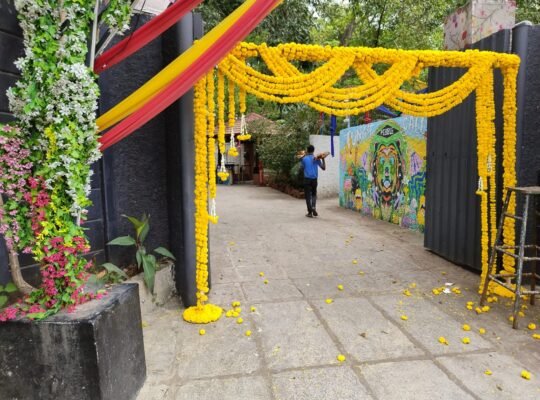 Eventzfly – Kids Birthday Party Decorators in Bangalore